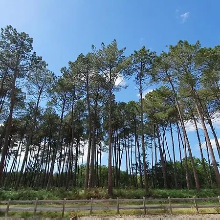 Maison Gemme A Landes * Leon
