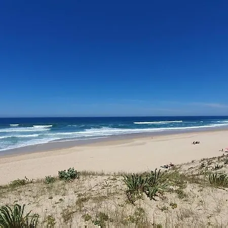 Maison Gemme A Landes *