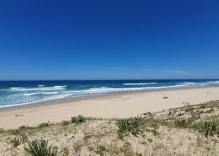 Maison Gemme A Landes *